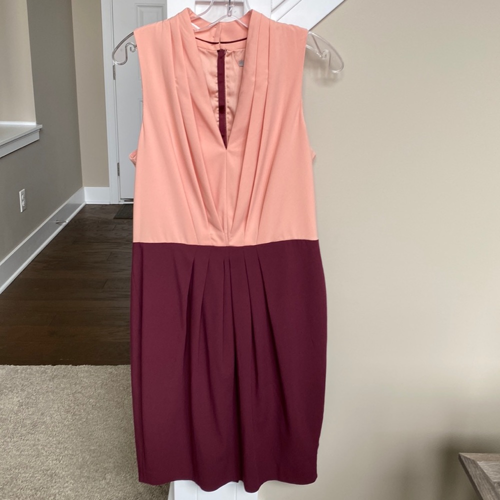 Blush and cranberry pleat dress